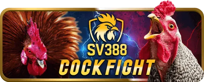 Hỗ trợ khách hàng 24/7 cado888